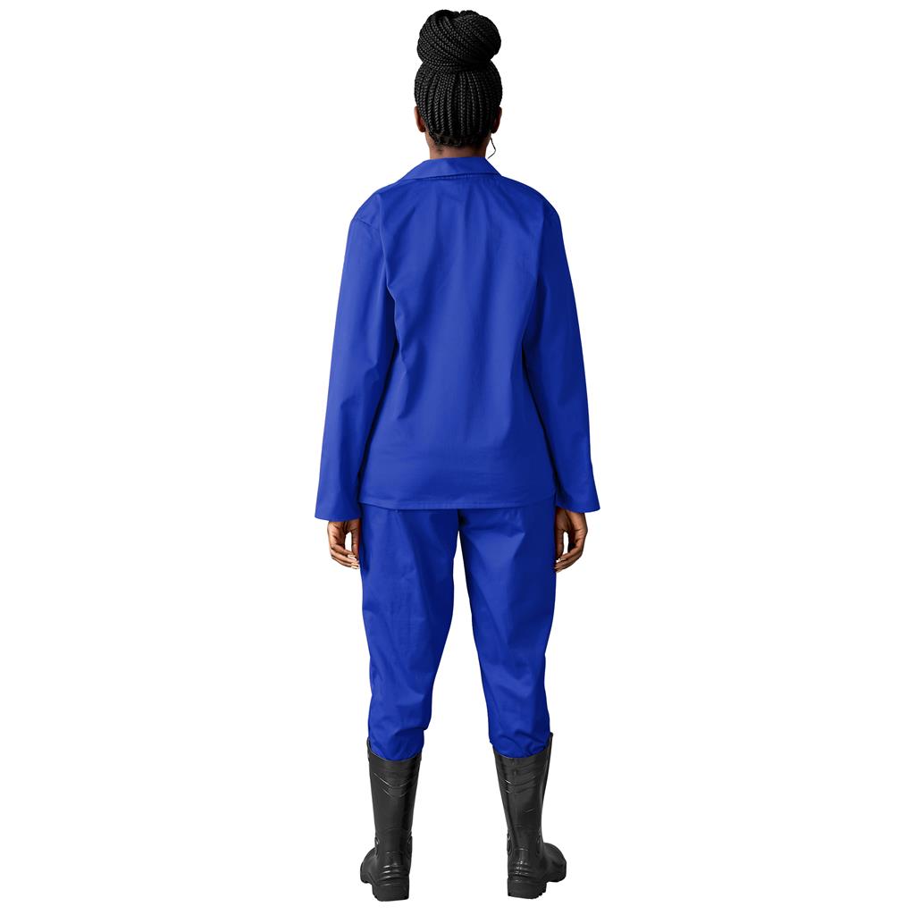 Budget Conti Suit
