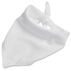 Hoppla Tyson Small Polyester Dog Bandana