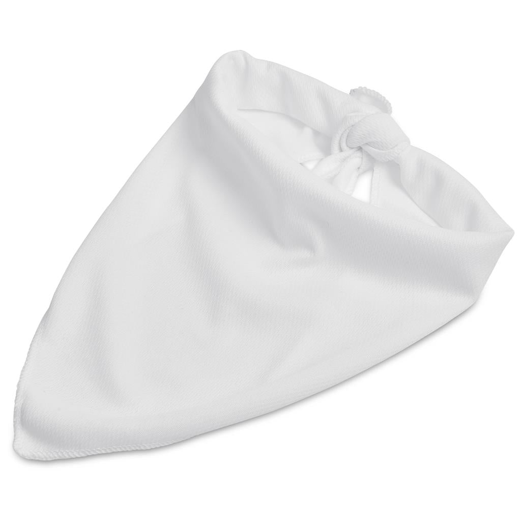 Pre-Production Sample Hoppla Bosco Large Polyester Dog Bandana