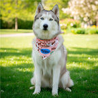 Pre-Production Sample Hoppla Bosco Large Polyester Dog Bandana